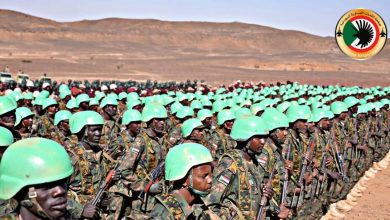 ٢٠٢٤١٢٠٧ ٠٧٥٦١١