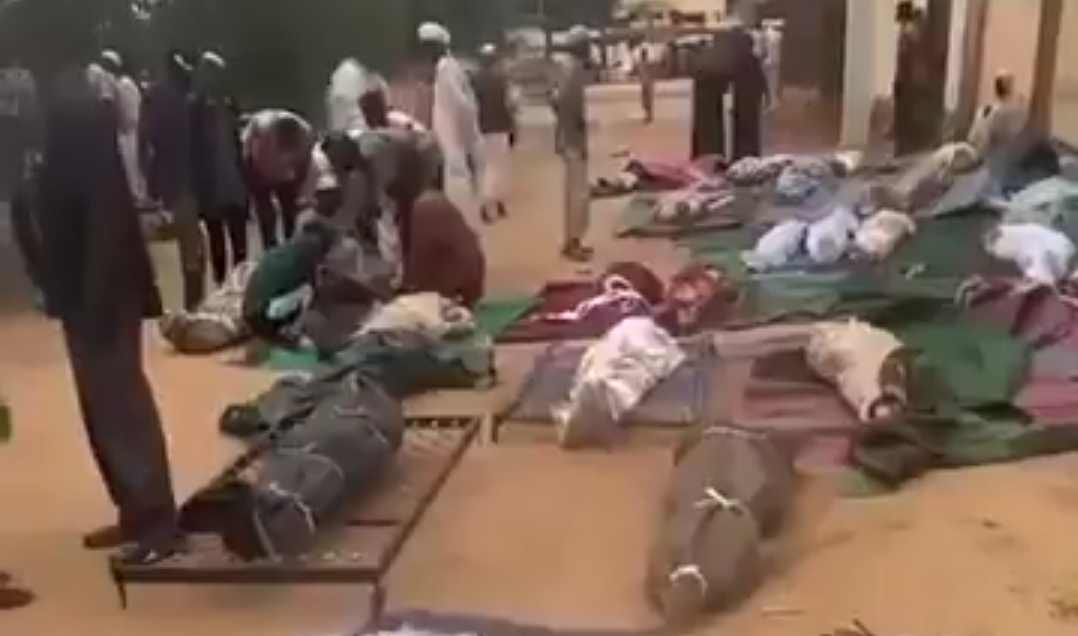 Screenshot ٢٠٢٥٠٩١٩ ١٠٥٩٣٤ X