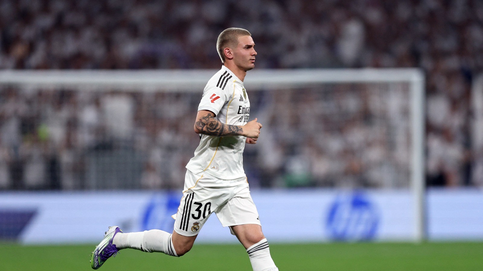 imCowE8k31 1758052271