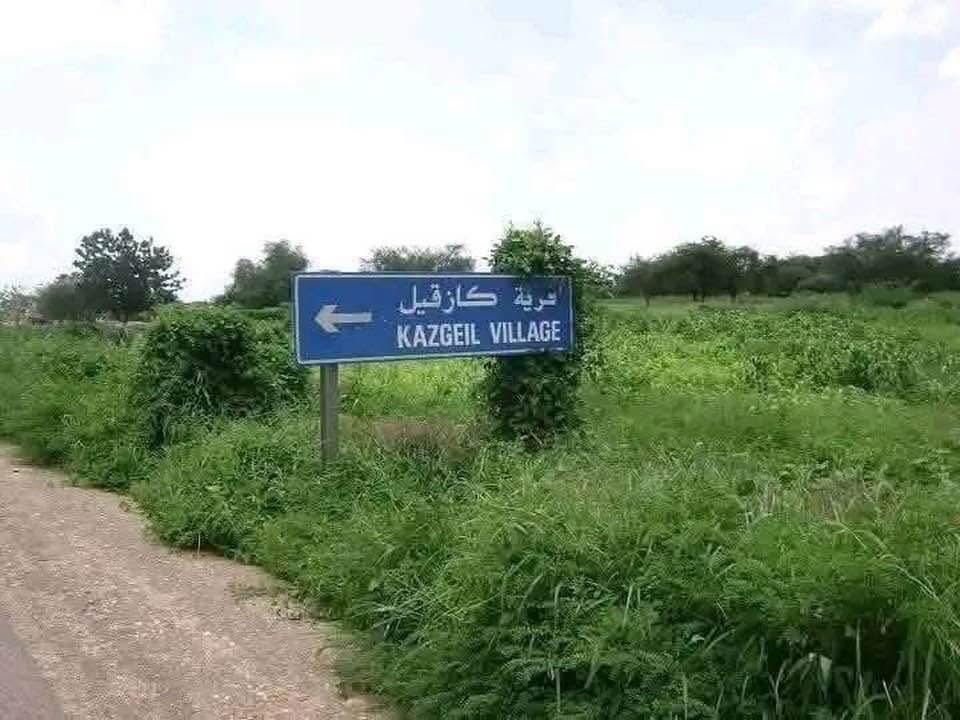 ٢٠٢٥٠٩١٥ ١٨٤٢٣٤