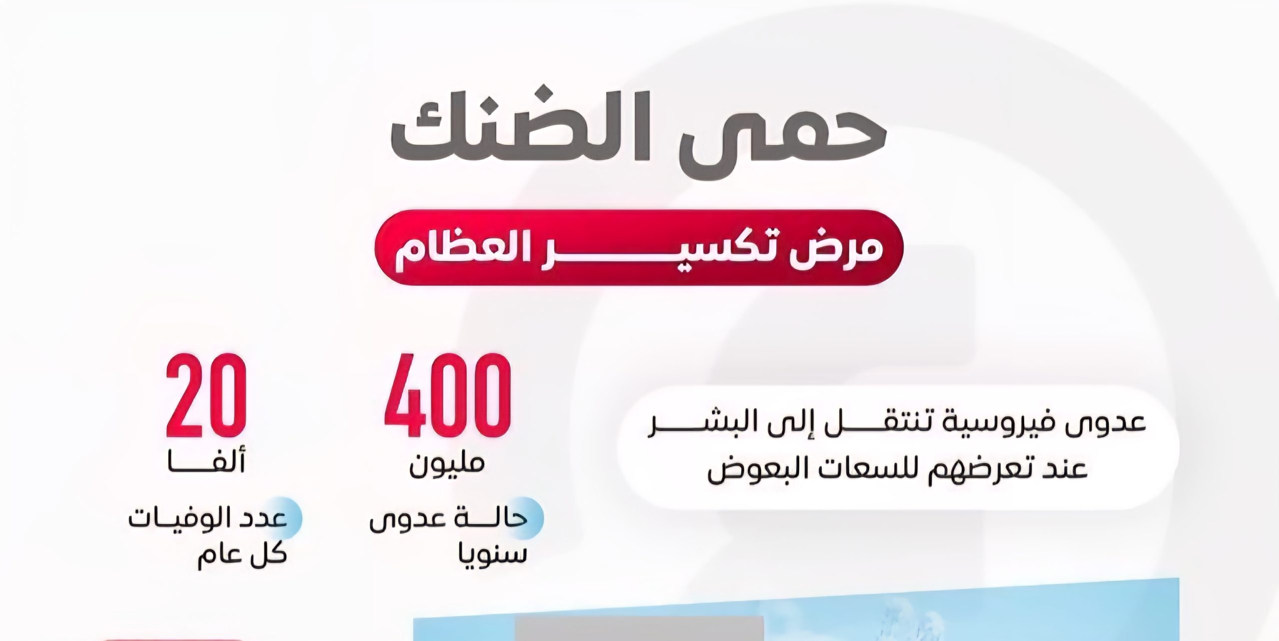 ٢٠٢٥٠٩٢٢ ٢٠٢٠٢٤ scaled