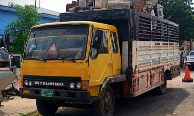 557778080 1251335477035755 6161730211855471088 n