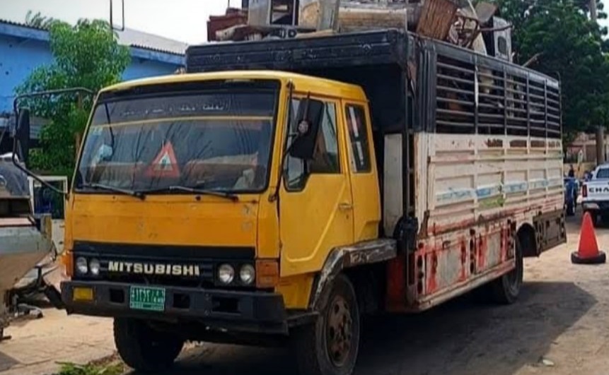 557778080 1251335477035755 6161730211855471088 n