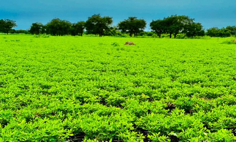 ٢٠٢٥١٠٠٨ ١٠٥٨٤٥