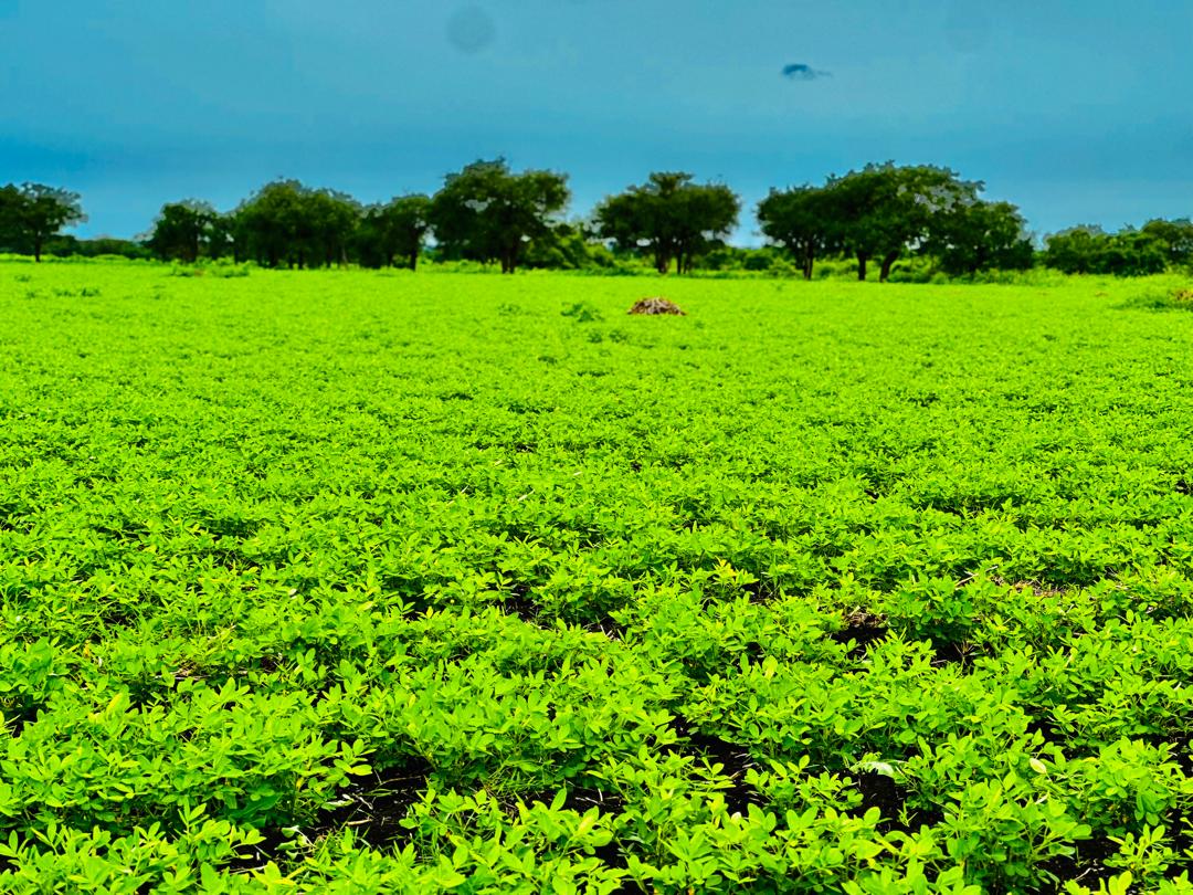 ٢٠٢٥١٠٠٨ ١٠٥٨٤٥