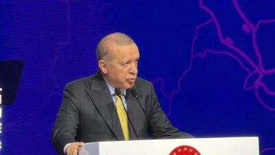 ٢٠٢٥١٠٣١ ١٦١٣٥٦