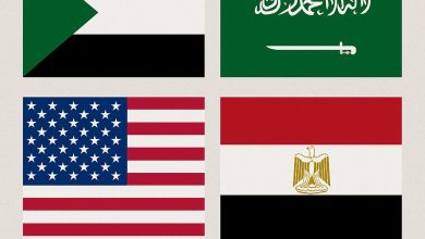 ٢٠٢٥١١١٢ ٠٥٠٨٣٧