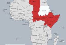 تقرير توثيقي: الدول الأفريقية المتورطة في انتهاك سيادة السودان 2 ٢٠٢٦٠٣٠٣ ١٤٢٣٥٥