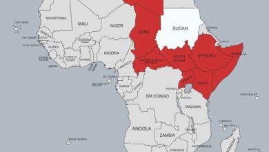 ٢٠٢٦٠٣٠٣ ١٤٢٣٥٥